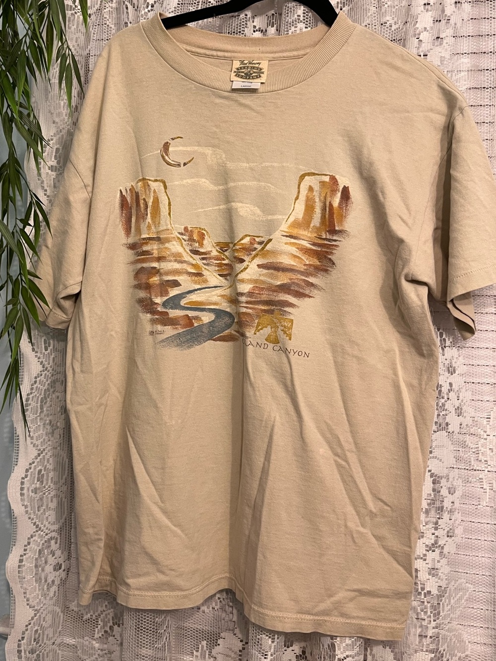 VINTAGE Grand Canyon graphic tee